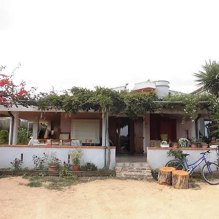 Su Pirastu *