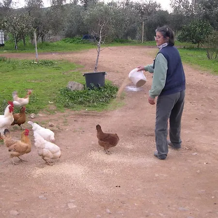 Su Pirastu Hétvégi ház