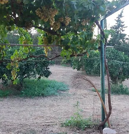 Su Pirastu *